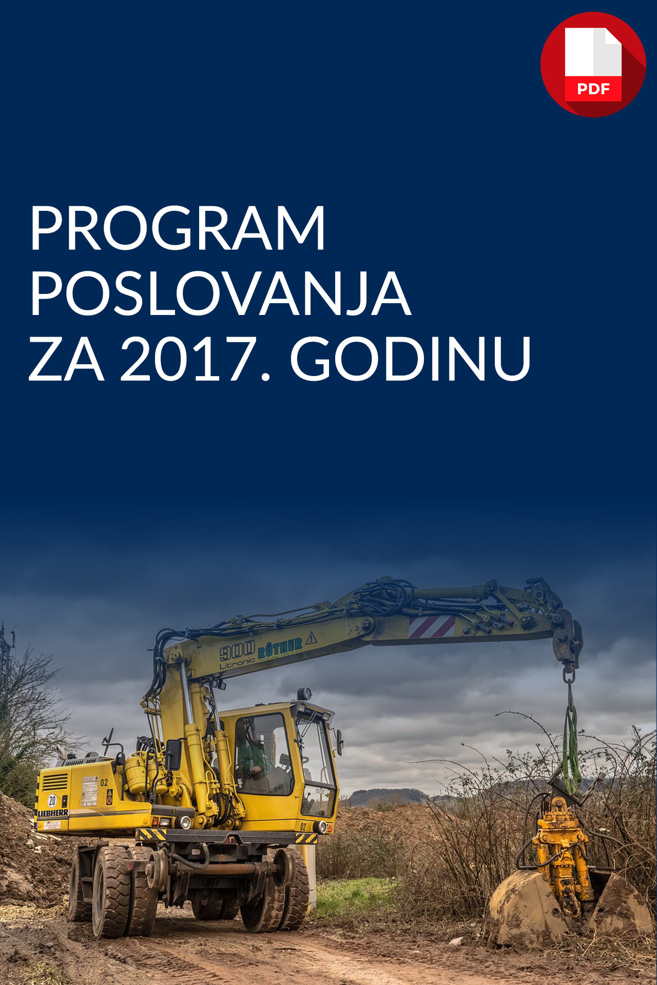 program poslovanja za 2017..pdf